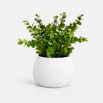Arranjo de Eucalipto Permanente Verde Vaso Treliça - Branco