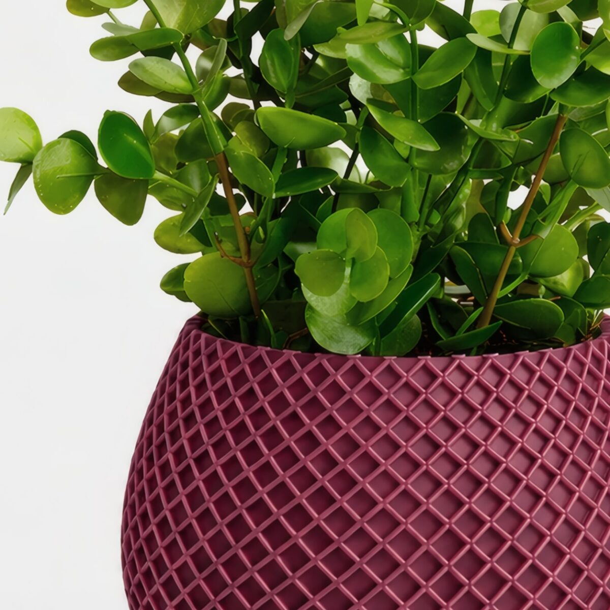 Arranjo de Eucalipto Permanente Verde Vaso Treliça - Marsala - Imagem 3