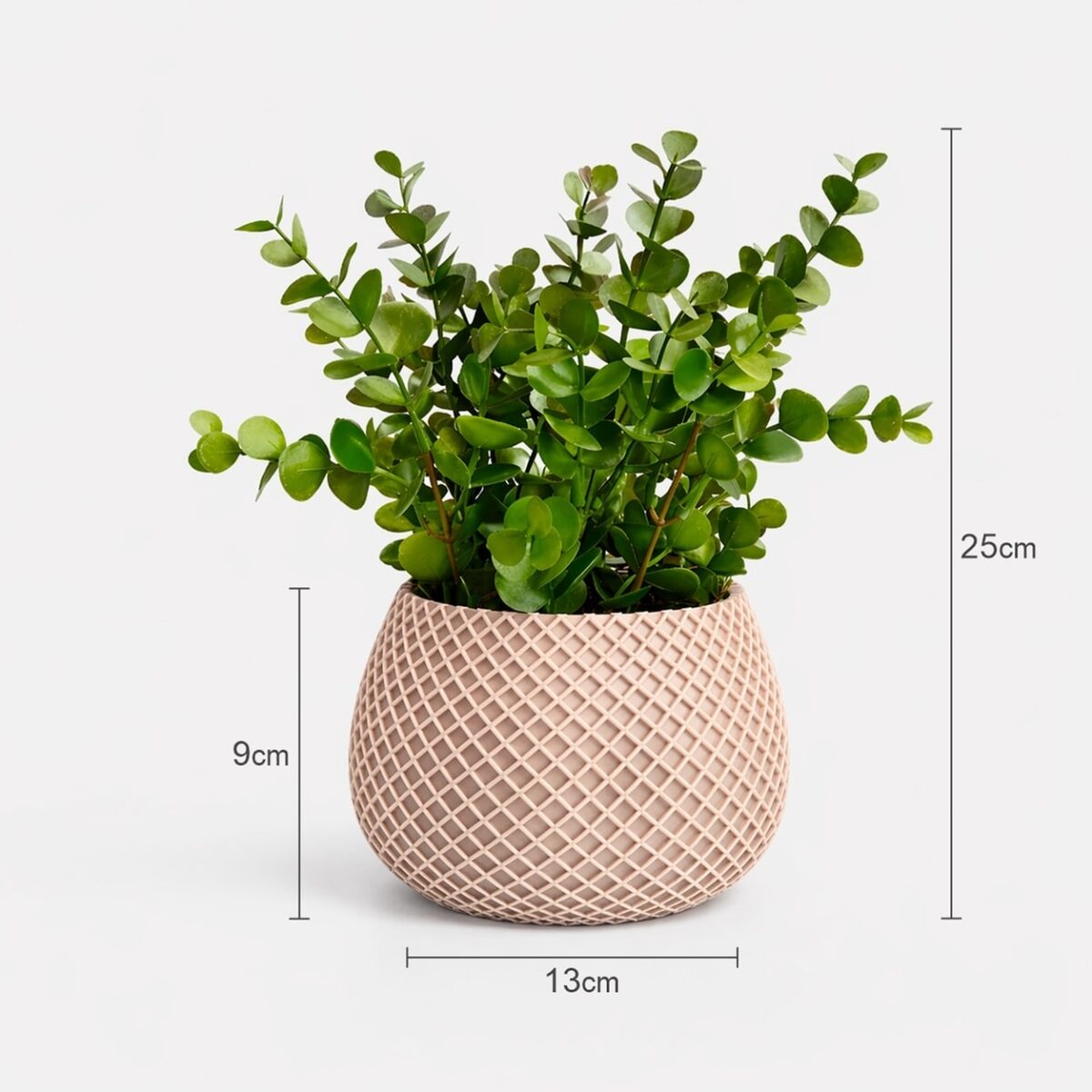 Arranjo de Eucalipto Permanente Verde Vaso Treliça - Bege - Imagem 4