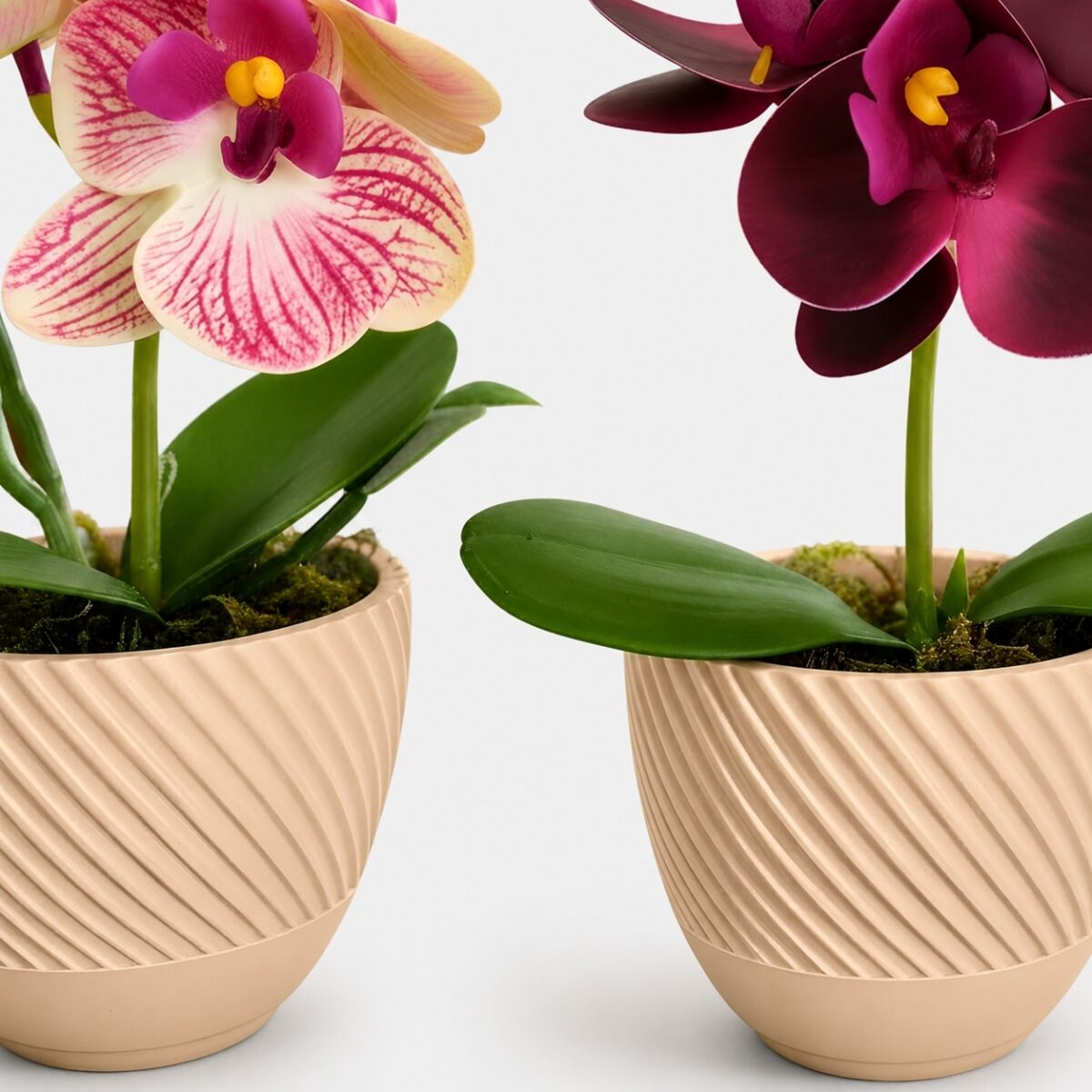 Kit 3 Vasos Nuage com arranjo mini Orquídea Permanente - Bege - Imagem 2